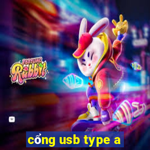 cổng usb type a