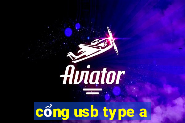 cổng usb type a