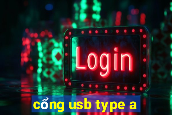 cổng usb type a