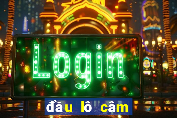 đầu lô câm đánh con gì