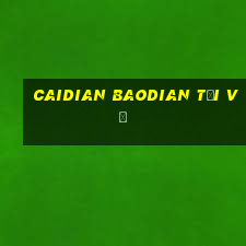 Caidian Baodian Tải về