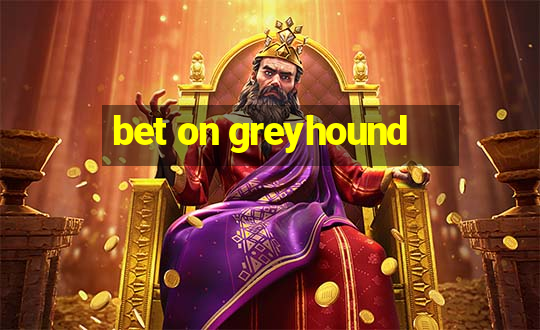 bet on greyhound