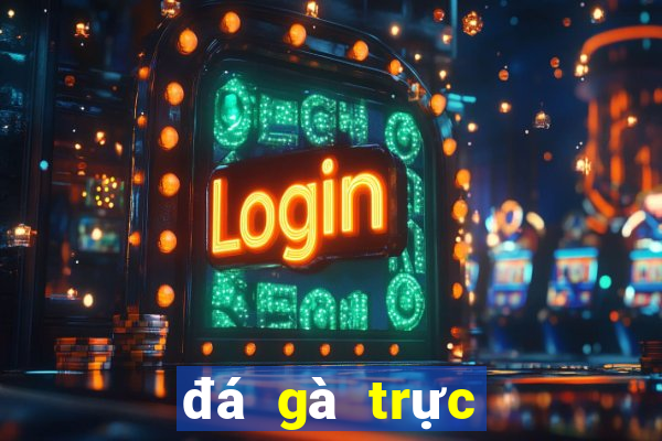 đá gà trực tiếp trên mạng campuchia