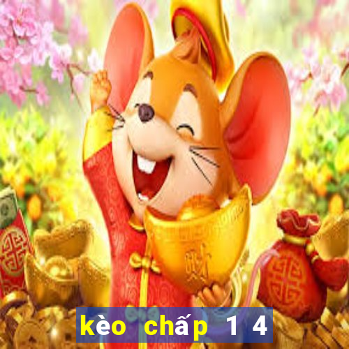 kèo chấp 1 4 nghĩa là sao