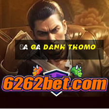 đá gà danh thomo