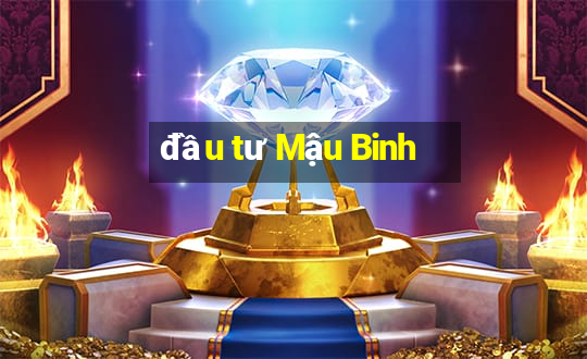 đầu tư Mậu Binh