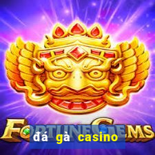 đá gà casino đá gà casino