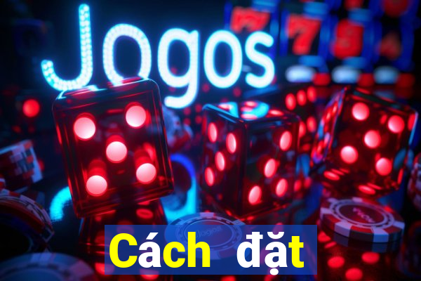 Cách đặt cược XSQT ngày 2