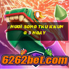 nuoi song thu khung 3 ngay