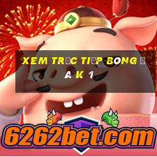 xem trực tiếp bóng đá k 1