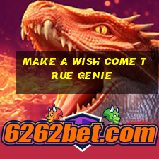 make a wish come true genie