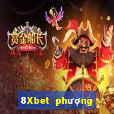 8Xbet phượng hoàng Group