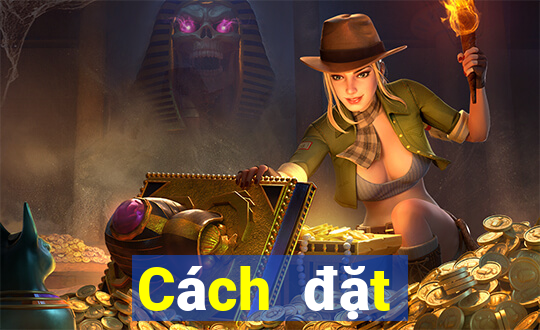 Cách đặt cược XSQT ngày 19