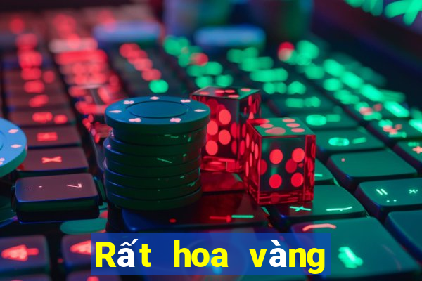 Rất hoa vàng Fun88 tải về