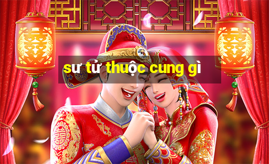 sư tử thuộc cung gì