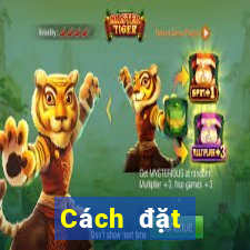 Cách đặt cược XSDTMB ngày 9