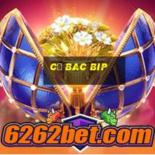 cơ bac bip