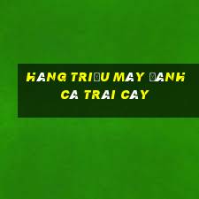 Hàng triệu máy đánh cá trái cây