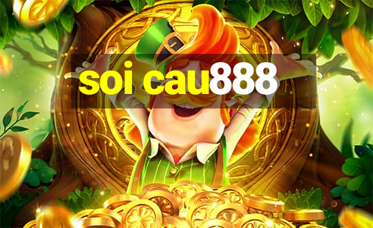 soi cau888