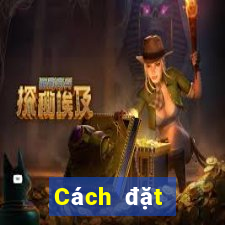 Cách đặt cược XSHP ngày 29