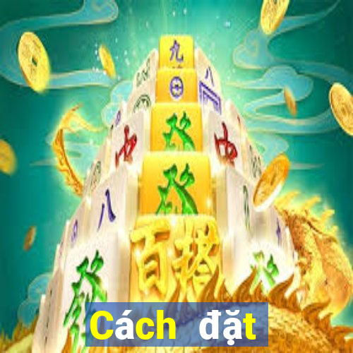 Cách đặt cược XSHP ngày 29