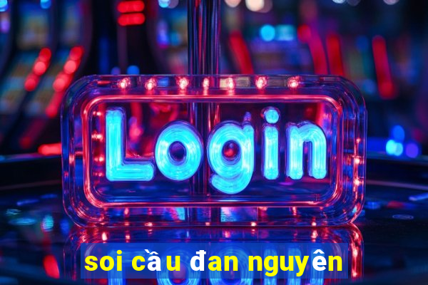 soi cầu đan nguyên