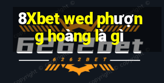 8Xbet wed phượng hoàng là gì