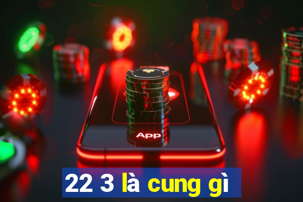 22 3 là cung gì