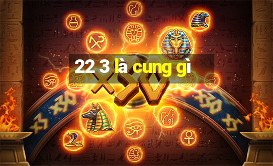 22 3 là cung gì