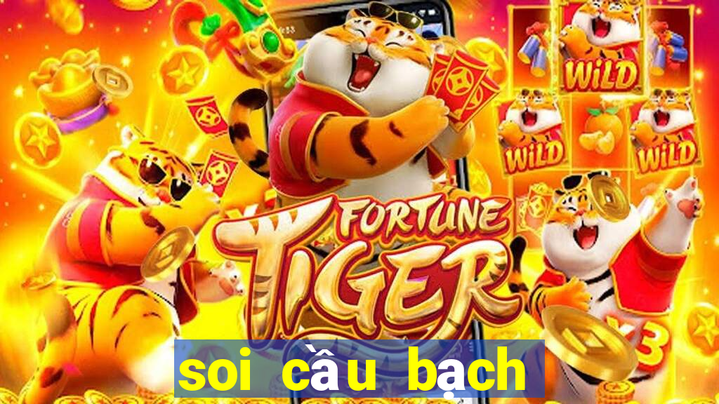 soi cau bach thu lo de