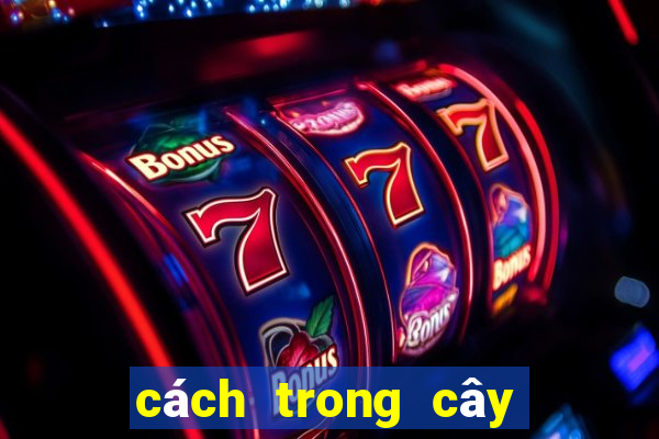 cách trong cây đuôi chuột