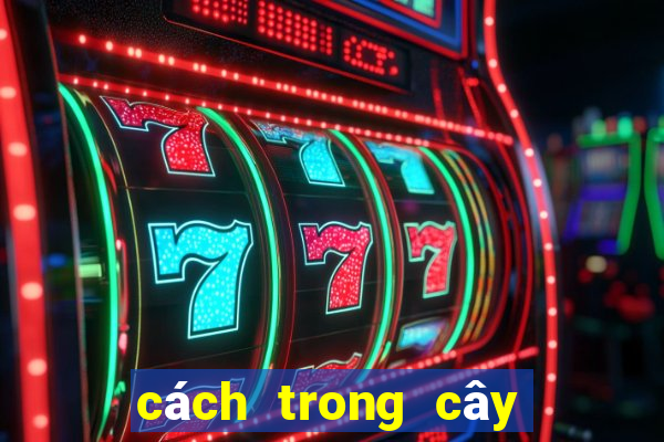 cách trong cây đuôi chuột