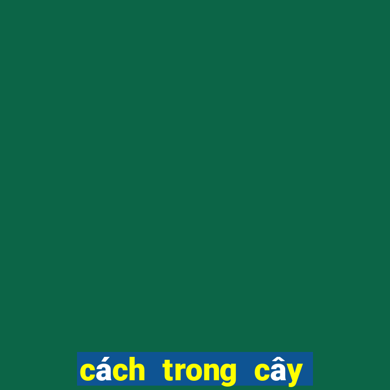 cách trong cây đuôi chuột