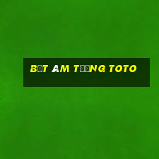 bệt âm tường toto