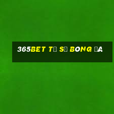 365bet tỷ số bóng đá