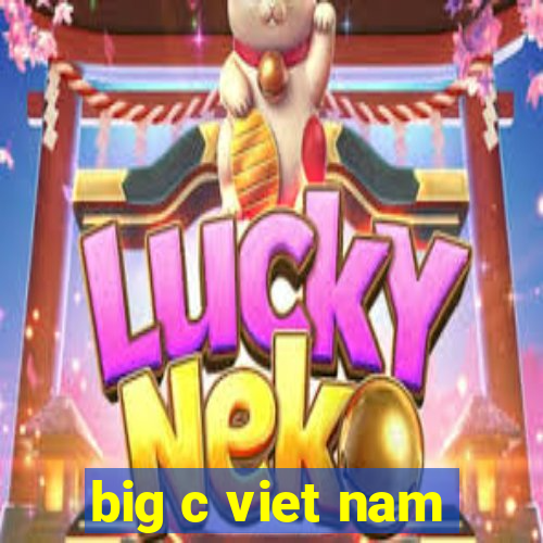 big c viet nam