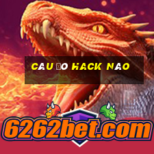 câu đó hack não