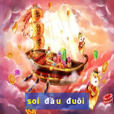 soi đầu đuôi miền bắc