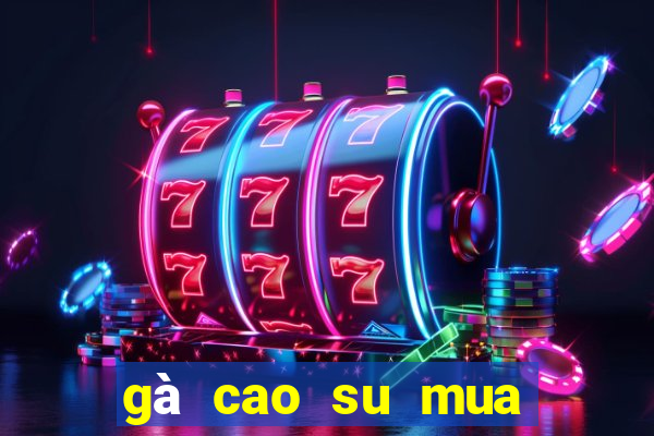 gà cao su mua ở đâu