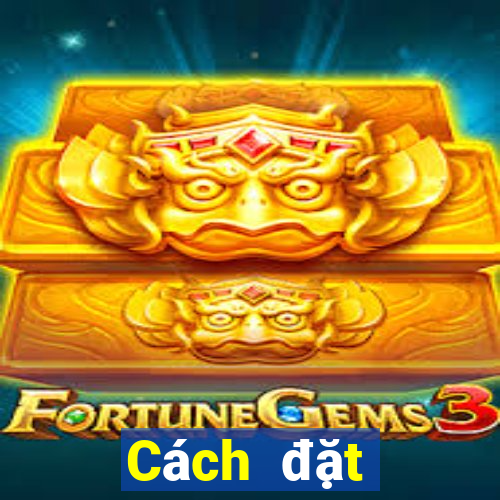 Cách đặt cược XSDTMB Thứ 5