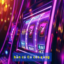 bắn cá Cá cóc vàng