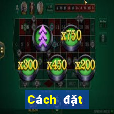 Cách đặt cược XSMT Thứ 7