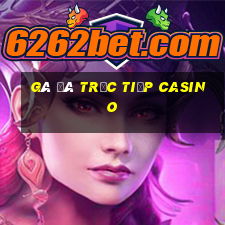 gà đá trực tiếp casino