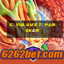 cờ vua quốc tế nam châm