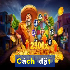 Cách đặt cược XSCM ngày 12