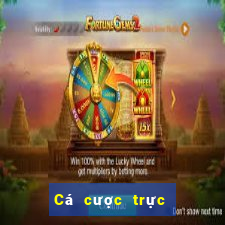 Cá cược trực tuyến 789bet