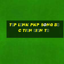 tập lệnh php sòng bạc tiền điện tử