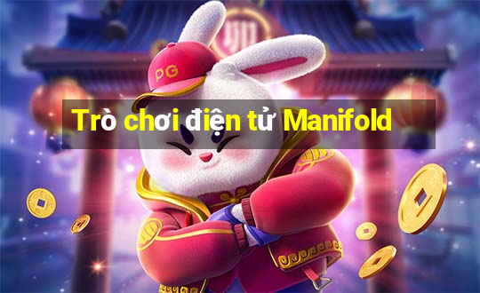 Trò chơi điện tử Manifold