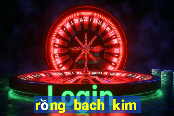 rồng bach kim soi cau