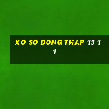 xo so dong thap 13 11